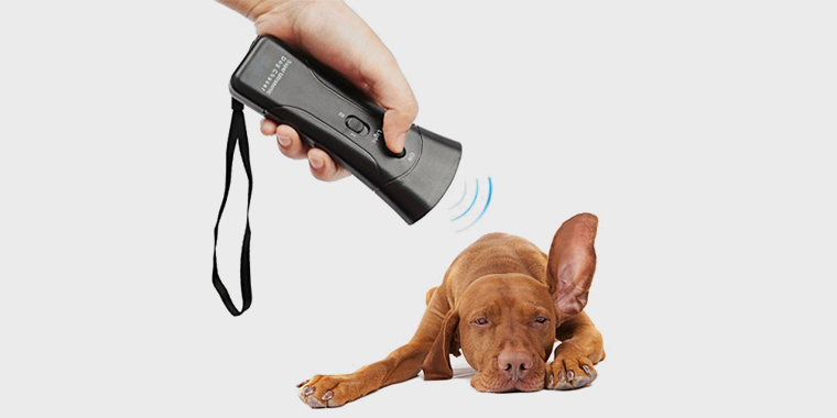 This Simple Device Stops Annoying Dog Barking in Seconds!